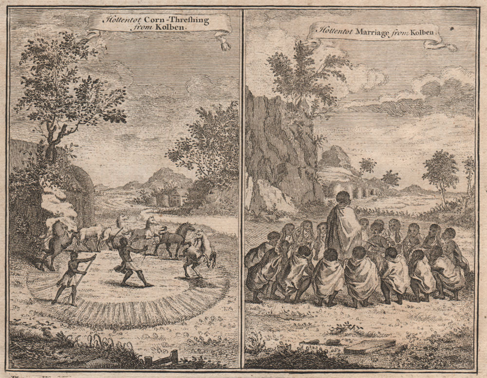 SOUTHERN AFRICA. Hottentot (Khoikhoi). Corn Threshing. Wedding. KOLBEN 1746